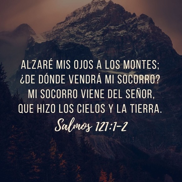 domenicar32